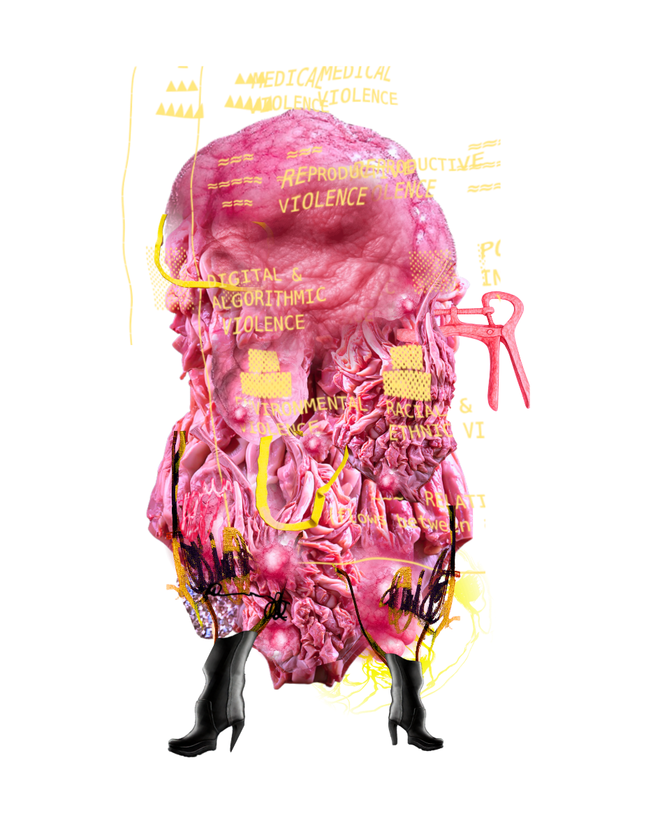 Endo Violence artwork - a surreal pink anatomical sculpture representing the different forms of violence experienced by those with endometriosis, labeled with Medical Violence, Reproductive Violence, Digital & Algorithmic Violence, Environmental Violence, Racial & Ethnic Violence, and Relational Violence